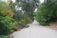 DSCN2727_resize