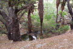 DSCN2748_resize