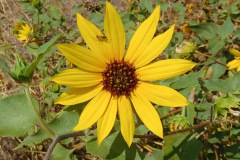 DSCN2757_resize