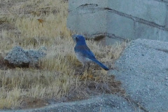 DSCN4909_resize