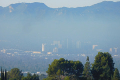 DSCN4912_resize
