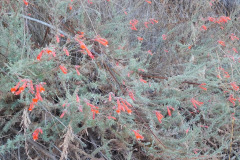 DSCN4915_resize