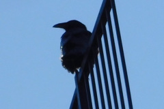 DSCN4920_resize