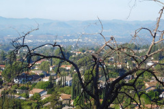 DSCN4921_resize