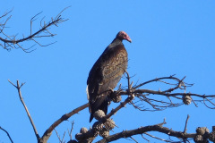 DSCN4924_resize