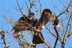 DSCN4925_resize