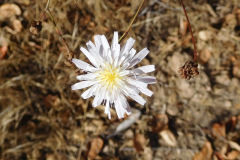DSCN4932_resize