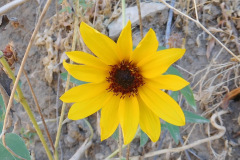 DSCN4933_resize