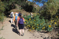 DSCN4935_resize