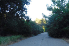 DSCN2535_resize