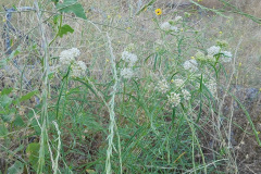 DSCN2542_resize