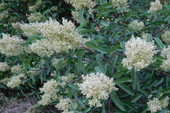 DSCN2546_resize