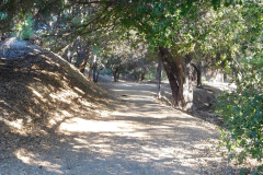 DSCN2557_resize