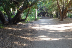 DSCN2558_resize
