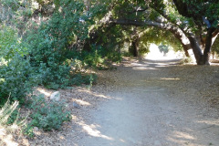 DSCN2560_resize