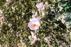 DSCN2562_resize