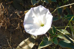 DSCN2563_resize