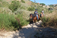 DSCN2569_resize