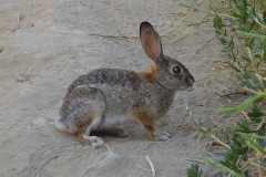 DSCN2572.1_resize