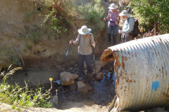 DSCN2574.1_resize