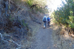 DSCN5085_resize