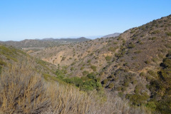 DSCN5089_resize