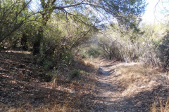 DSCN5105_resize