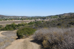 DSCN5115_resize