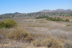DSCN5116_resize