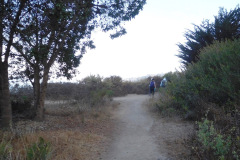 DSCN4551_resize