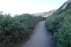 DSCN4553_resize