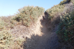 DSCN4560_resize
