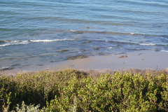 DSCN4562_resize