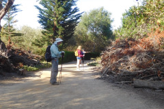 DSCN4572_resize