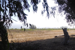 DSCN4574_resize