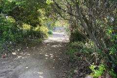 IMG_2151_resize