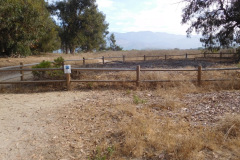 DSCN4780_resize
