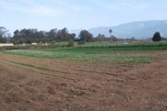 DSCN4782_resize