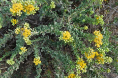 DSCN4787_resize