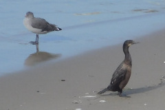 DSCN4790_resize