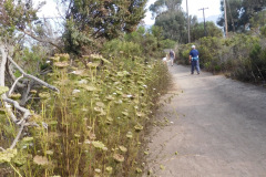 DSCN4792_resize