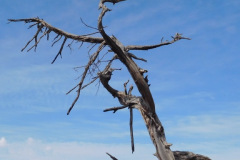 DSCN4796_resize