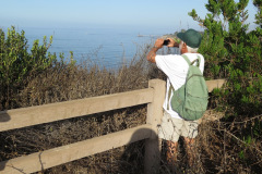 IMG_4275_resize