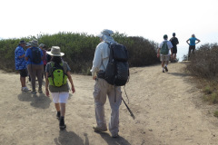 IMG_4299_resize