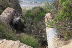 IMG_4301_resize