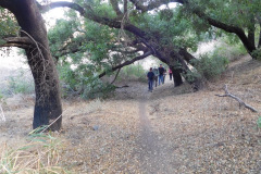 DSCN3293_resize