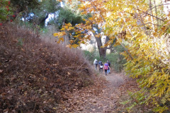 DSCN3296_resize