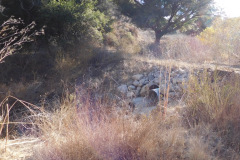 DSCN3299_resize