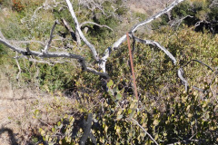 DSCN3310_resize