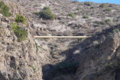 DSCN3315_resize